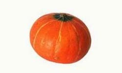 河北保定清苑新农人合作社万亩红皮南瓜