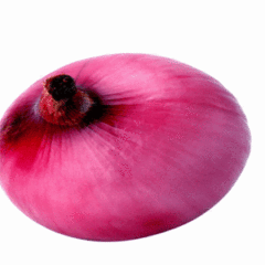 河南周口洋葱已经到了上市的季节