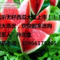 山东潍坊5~9月份无籽西瓜大量上市