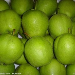 大荔县梨销售难