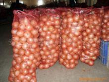 潍坊市安丘市红皮，黄皮圆葱 代办张奉涛