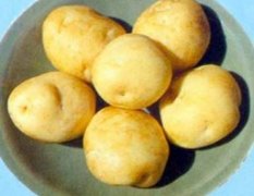 牡丹江出售土豆，今日价格0.35-0.40每市斤