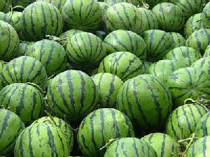 牡丹江海林农场大红壤西瓜7月上市