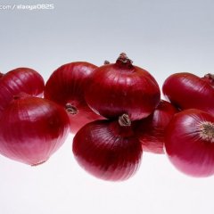 供应品质优良的红皮洋葱 生姜 水果型罗卜