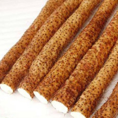 衡水饶阳县王岗村麻山药