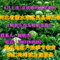 河北省衡水市常年对外供应大量西瓜