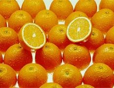 柑橘.蓬安锦橙100号