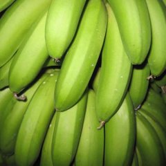 广西南宁双定镇代收香蕉 卢祥飞