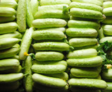 山东烟台海阳白黄瓜