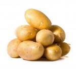 河南无公害土豆供应全国客商 供货量百万吨