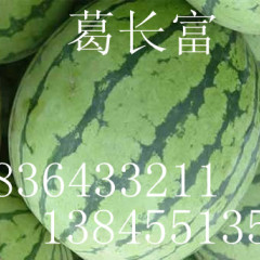 黑龙江绥化西瓜