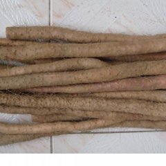 云南大理麻山药大量上市