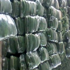 春秋大棚·露地黄瓜