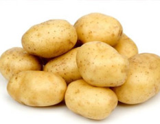 新鲜土豆供用