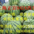 8424西瓜（麒麟西瓜）大批量上市,农户自产自销,质优价廉