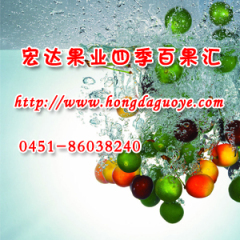 哈尔滨水果批发宏达四季百果汇水果超市