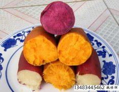 （地瓜）红薯138，紫薯，白薯