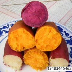 （地瓜）红薯138，紫薯，白薯