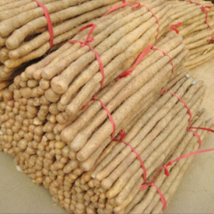 无公害山药即将大量上市