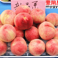 2012山东蒙阴果品7月30日最新报价