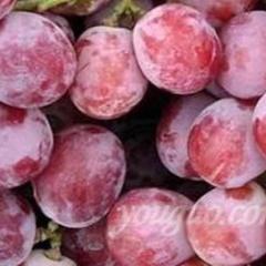 陕西优质红提葡萄.柿子.冬枣产地