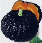 大量南瓜、西瓜！！！！！！！！