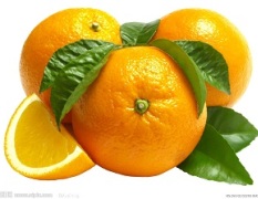 “中国柑橘之乡”湖南石门县大量柑橘出售