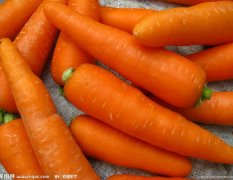 陕西省榆林市定边县 提供大量胡萝卜