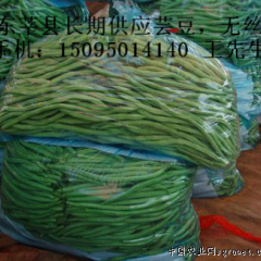 供应芸豆，无丝豆供应芸豆