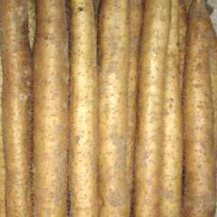 大量山药上市欢迎前来看货