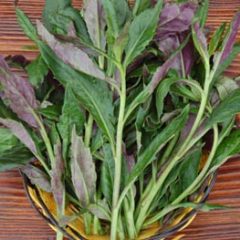 田七菜，天葵，传奇香菜等各类蔬菜批发