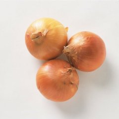 本人有小洋葱100T 质量上成