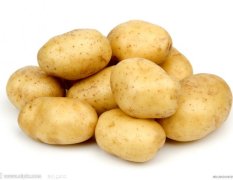 陕西省出售大量土豆 紫花白、夏波蒂、荷兰系列