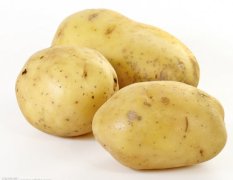 吉林 敦化市大量出售延4 俄7 马铃薯