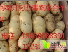 河南省开封市万青蔬菜合作社