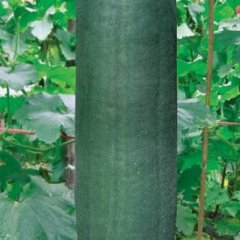 找一位有实力的老板常年收购农产品