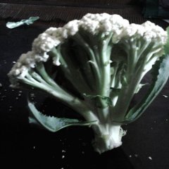 有机菜花，青梗白面菜花