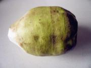 赤峰西城市场出售芥菜