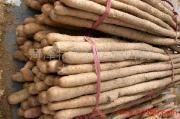 优质鸡皮糙铁棍山药