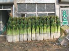 平度市高品质大葱，坚决不能错过好的商机。