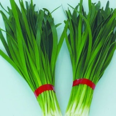 河南省安阳市韭菜大量上市