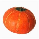 山西红南瓜20吨