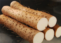 我地处滹沱河岸 大量出售各种麻山药