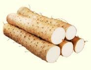 山东滨州惠民大量毛山药