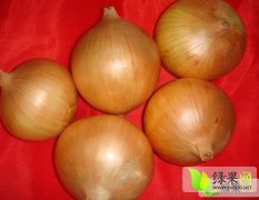 金乡朱峰供应库存-红 黄皮洋葱、质优价廉