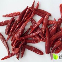 金乡泰丰辣椒合作社供应金塔辣椒