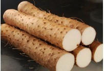 出售陕西渭南山药