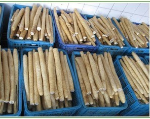 河北大名白玉山药：张铁集贾永飞