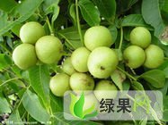 四川盐源青皮核桃：原盐平杨成