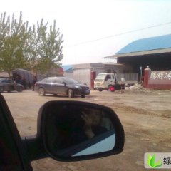 山东金乡金塔：鸡黍王启发